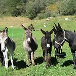 לינה וארוחת בוקר Alpe Veglia-varzo וארצו