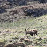 Alpe Veglia-varzo