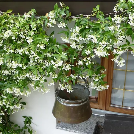 Bed & Breakfast Alpe Veglia Varzo
