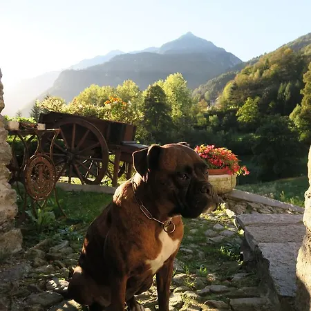 Alpe Veglia * Varzo