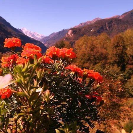 Alpe Veglia-varzo Варцо