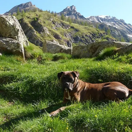 Alpe Veglia * Varzo