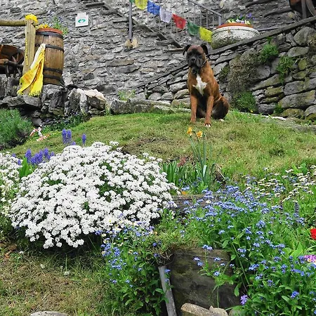 Alpe Veglia-varzo * Варцо