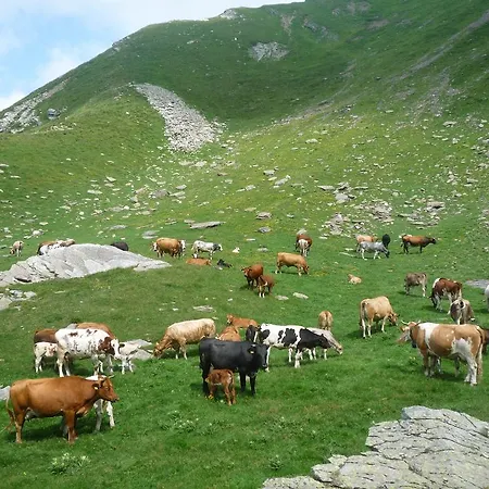 Alpe Veglia-varzo