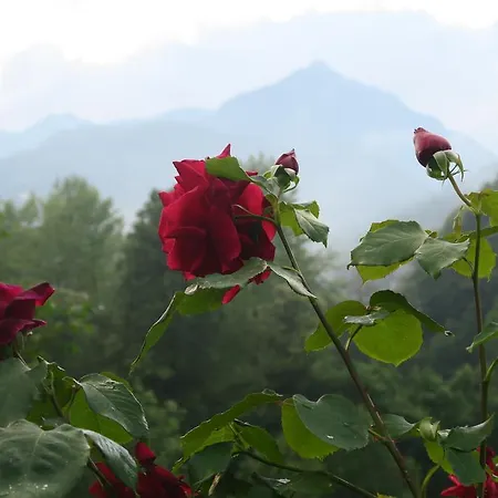 Alpe Veglia-varzo Варцо
