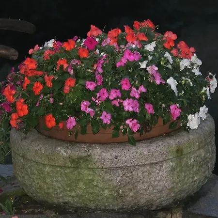 Alpe Veglia-varzo * فارزو