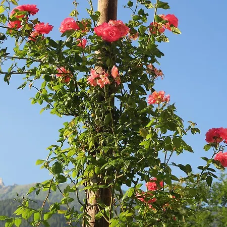 Alpe Veglia-varzo * ヴァルツォ