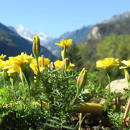 فندق مبيت وإفطار Alpe Veglia-varzo فارزو
