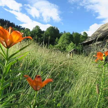 Alpe Veglia-varzo * Варцо