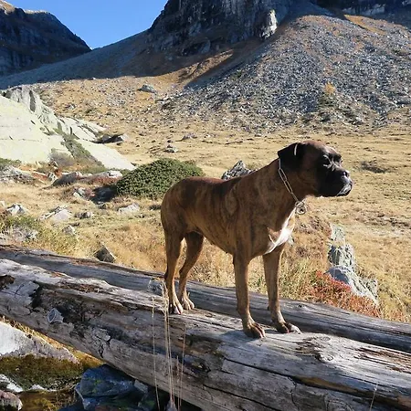 Alpe Veglia-varzo * فارزو