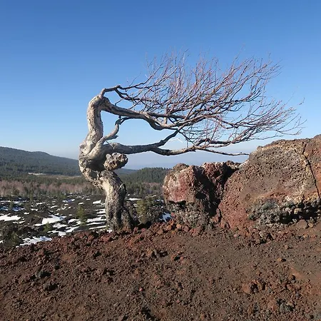 فندق مبيت وإفطار Alpe Veglia-varzo