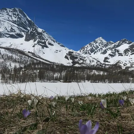 Alpe Veglia-varzo Alojamento de Acomodação e Pequeno-almoço