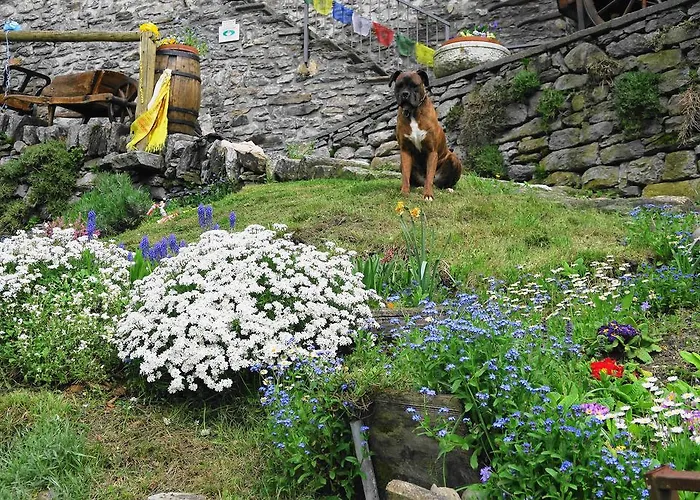 Alpe Veglia-varzo * Springwood