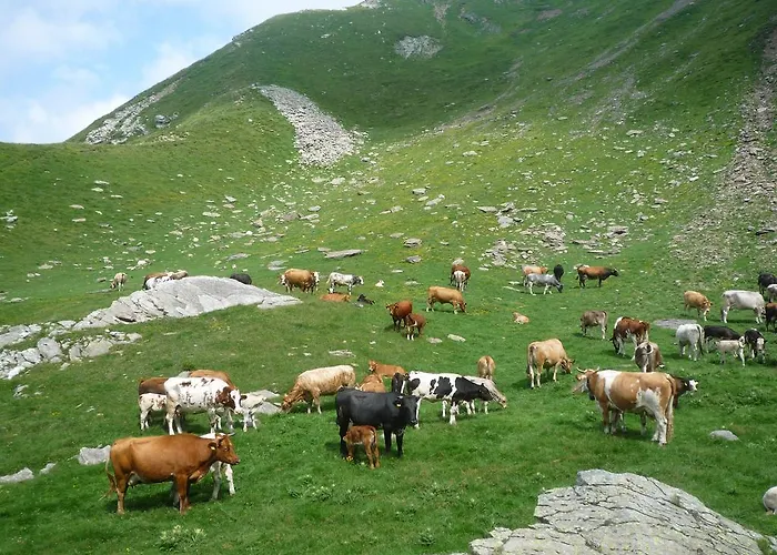 Alpe Veglia-varzo