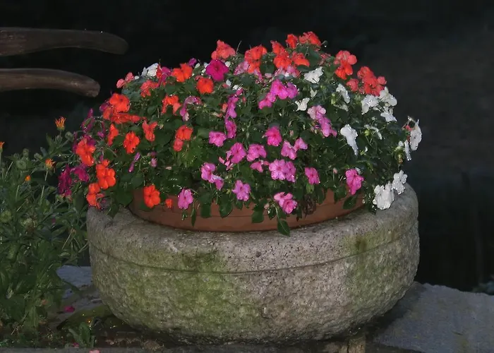 Alpe Veglia-varzo * Varzo