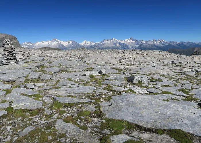 Alpe Veglia-varzo Springwood