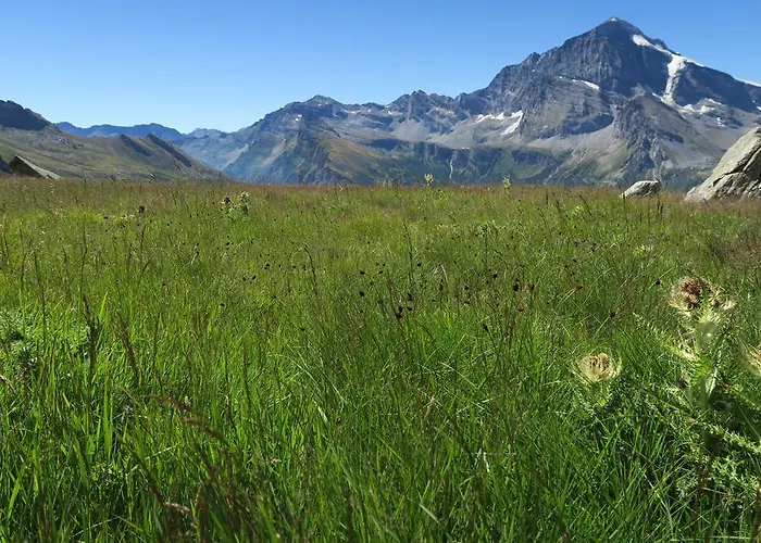 Bed and Breakfast Alpe Veglia-varzo