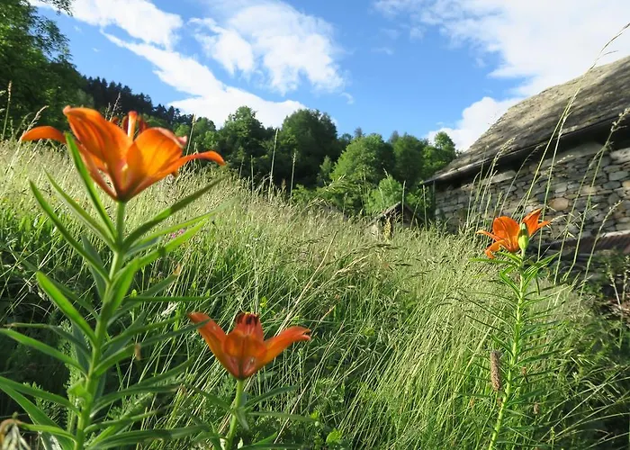 Alpe Veglia-varzo * Varzo