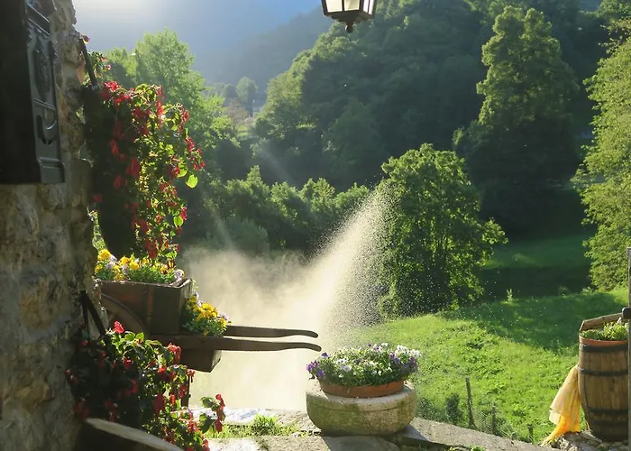 Alpe Veglia-varzo * Springwood