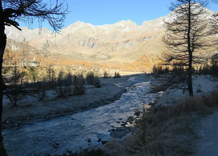 Alpe Veglia-varzo Springwood