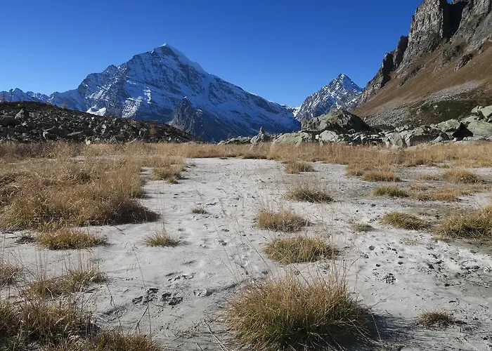 Alpe Veglia-varzo * Springwood