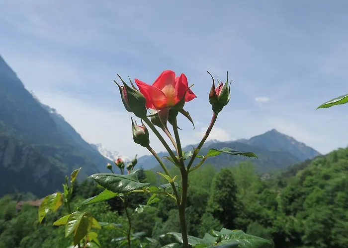 Alpe Veglia-varzo Bed and Breakfast *