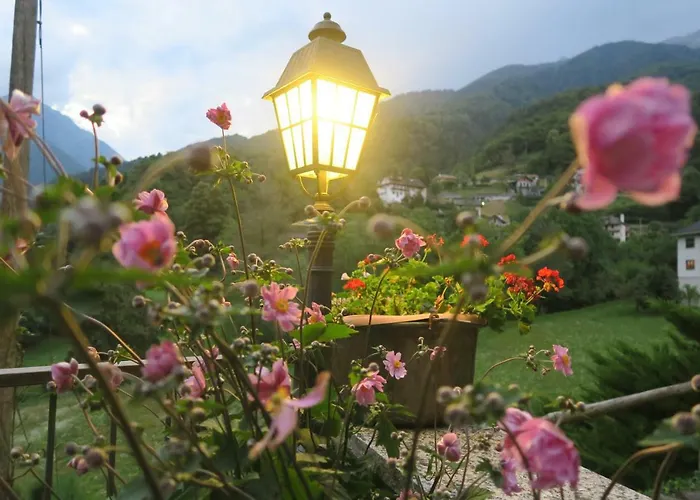 Alpe Veglia-varzo Bed and Breakfast Springwood